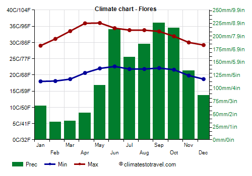Climate chart - Flores
