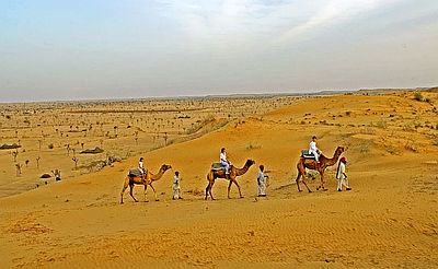 Camel tour near Bikaner