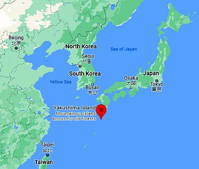 Yakushima, where it is located