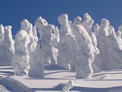 Monsters of snow on Mount Zao